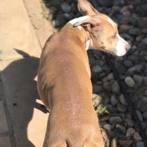 Meet your Posher, Cathy